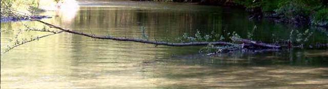 tutti i segreti della pesca con le mosche