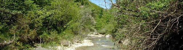 pesca a mosca su fiumi laghi e torrenti