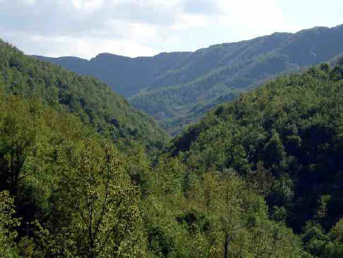 la natura incontaminata delle nostre zone